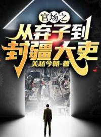 官场之从弃子到封疆大吏小说全集免费在线阅读（丁赫杜白莲）