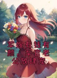 军嫂有钱有颜，军官老公放肆宠乔婉婉丁岩峰小说精彩章节在线阅读