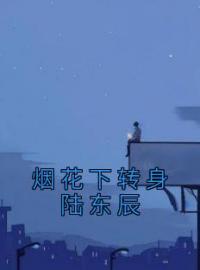 江沐沐陆东辰小说章节目录 烟花下转身陆东辰全文阅读