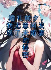 傅辞深温念念小说大结局在线阅读 婚礼前夕，我无意间发现了未婚妻的秘密小说免费试读