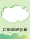 江晚烟裴时寒