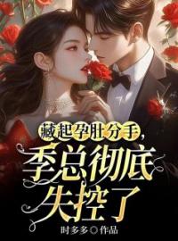 藏起孕肚分手，季总彻底失控了温迎季庭鹤免费在线全文阅读