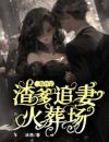  一胎四宝，渣爹追妻火葬场