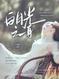 孟书亦秦川小说《白月光之身》全文及大结局精彩试读