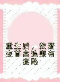 陆宴璟沈如夏小说《重生后，赘婿变首富追妻有套路》全文及大结局精彩试读