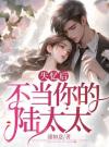 失忆后，不当你的陆太太