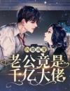闪婚成宠，老公竟是千亿大佬