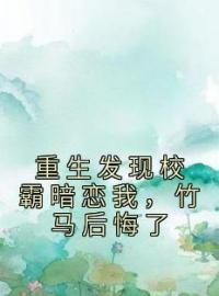 宋行敏肖璟川小说阅读_宋行敏肖璟川小说《重生发现校霸暗恋我，竹马后悔了》