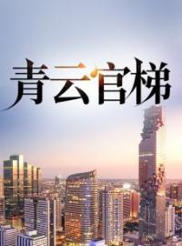 青云官梯方芸杨尘光小说阅读_青云官梯文本在线阅读