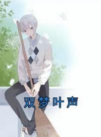 双梦叶声沈茜叶傅声声小说精彩章节在线阅读