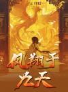 凤翔于九天