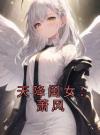 天降闺女：萧风