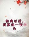 和离以后，将军他一夜白头