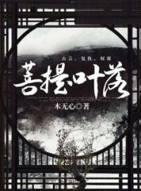 菩提叶落顾南衣宋晚晴小说全文阅读