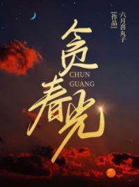 贪春光南舒湛昱柯目录_贪春光小说阅读