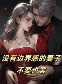 《没有边界感的妻子，不要也罢》小说全集免费在线阅读（林枫林语柔）