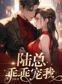 陆总，乖乖宠我顾与非陆子峥全本大结局阅读