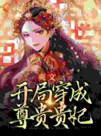 爽文：开局穿成尊贵贵妃林悠沈景安免费在线全文阅读