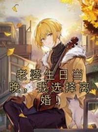 老婆生日当晚，我选择离婚！(刘铭楚璃)全文完结在线阅读完整版
