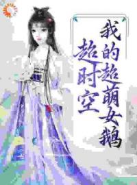 小说《超时空：我的超萌女鹅》李长安李明达全文免费试读