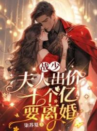 战少，夫人出价十个亿要离婚全文免费试读(苏蔓战肆瑾) 完结版