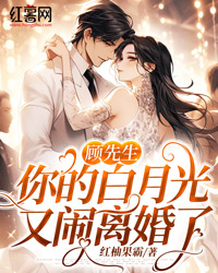 顾先生，你的白月光又闹离婚了全文在线阅读 秦夏顾偃小说全本无弹窗