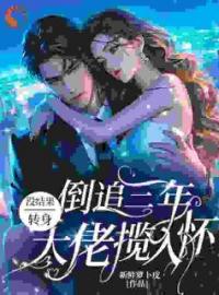 倒追三年没结果，转身大佬揽入怀完整版 梁瓷时宴全章节阅读