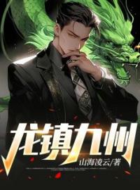 秦轩陈婉清小说阅读_秦轩陈婉清小说《龙镇九州》