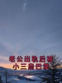 老公出轨后被小三扇巴掌陈阳孙怡小说完整篇在线阅读