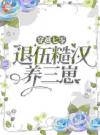 穿越七零，嫁退伍糙汉养三崽