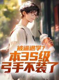 《被逼退学？本3S级弓手不装了》小说全集免费在线阅读（陈启李峙）