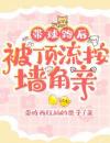 带球跑后，被顶流按墙角亲