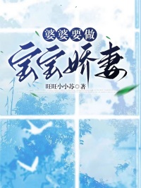 《婆婆要做宝宝娇妻》云澜魏明超小说精彩章节在线阅读