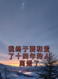 我终于要和爱了十四年的人离婚了纪东旭晏文静全文在线免费试读