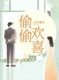 偷偷欢喜(沈洛沈念)全文完结在线阅读完整版