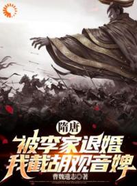 穿越隋唐后，我截胡了观音婢全文免费试读(杨傲李秀宁) 完结版