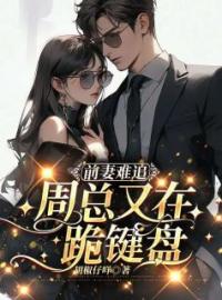 小说《前妻难追，周总又在跪键盘》林央周时安全文免费试读