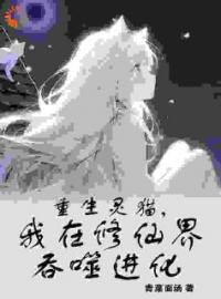 小说《重生灵猫，我在修仙界吞噬进化》许风虎大全文免费试读
