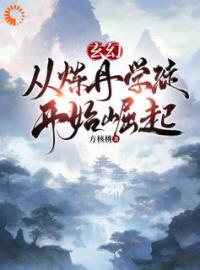 玄幻：从炼丹学徒开始崛起(沈飞徐玉)全文完结在线阅读完整版