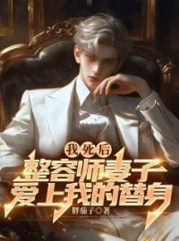 《我死后，整容师妻子爱上我的替身》小说全文精彩章节在线阅读（温羽沈霏霏）