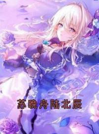 苏晚舟陆北辰小说《苏晚舟陆北辰》全文及大结局精彩试读