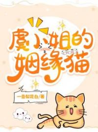 《虞小姐的姻缘猫》虞归晚二虎小说精彩章节在线阅读