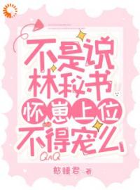 不是说林秘书怀崽上位，不得宠么林妮陆予慎目录_不是说林秘书怀崽上位，不得宠么小说阅读