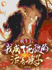 宁淼宴墨白小说章节目录 重生后，我成了死敌的活寡嫂子全文阅读
