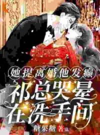 她提离婚他发癫，祁总哭晕在洗手间免费试读(阮山柳祁夜南小说全本资源) 无广告