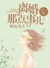 和沈先生离婚那点事儿
