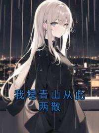 《我埋青山从此两散》小说全文精彩章节在线阅读（王静裴黎）