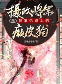 摄政将军是我复仇路上的癞皮狗完整全文阅读 沈昭晏江聿白小说结局无删节