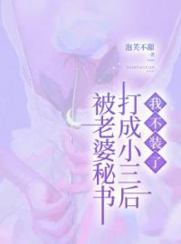 被老婆秘书打成小三后，我不装了完整版全文阅读 苏宁青白景凌小说 大结局