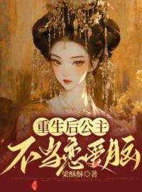 小说《重生后，公主不当恋爱脑》安宁沈知远全文免费试读
